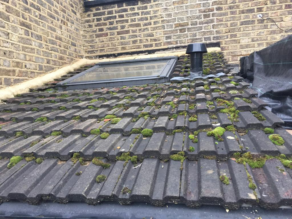 flat roof